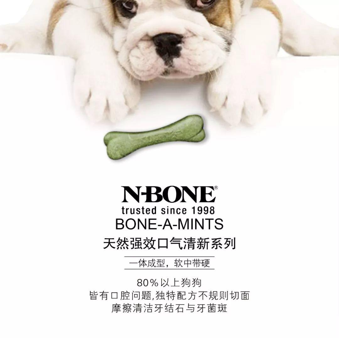 N-BONE 邀您雄鹰.京宠展见