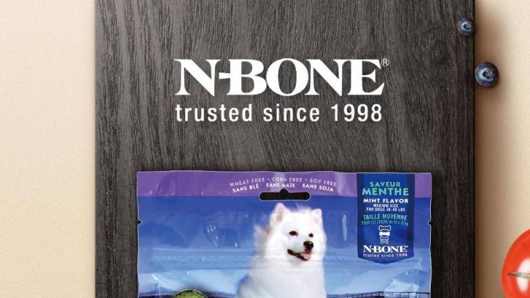 N-BONE 邀您雄鹰.京宠展见