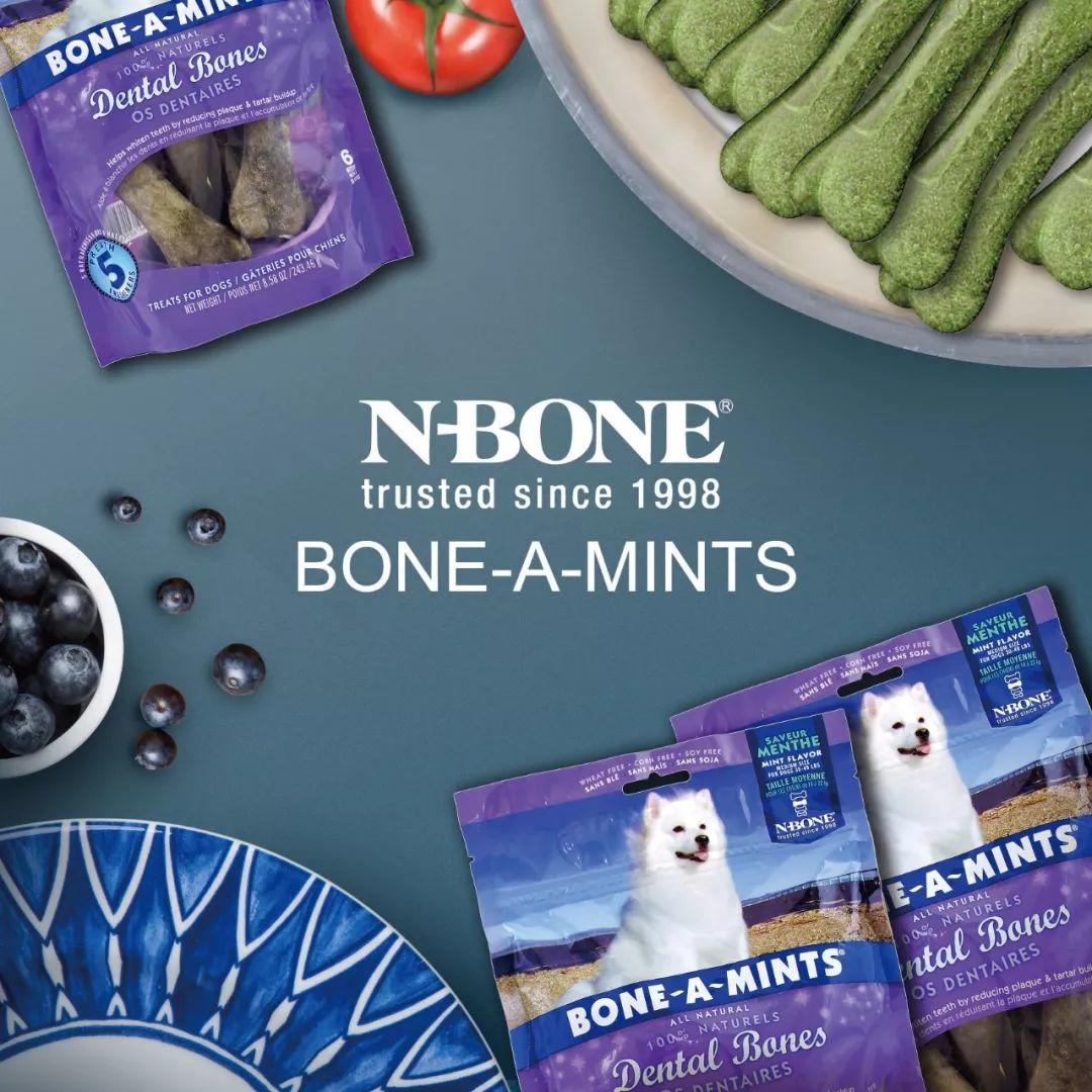 N-BONE 邀您雄鹰.京宠展见