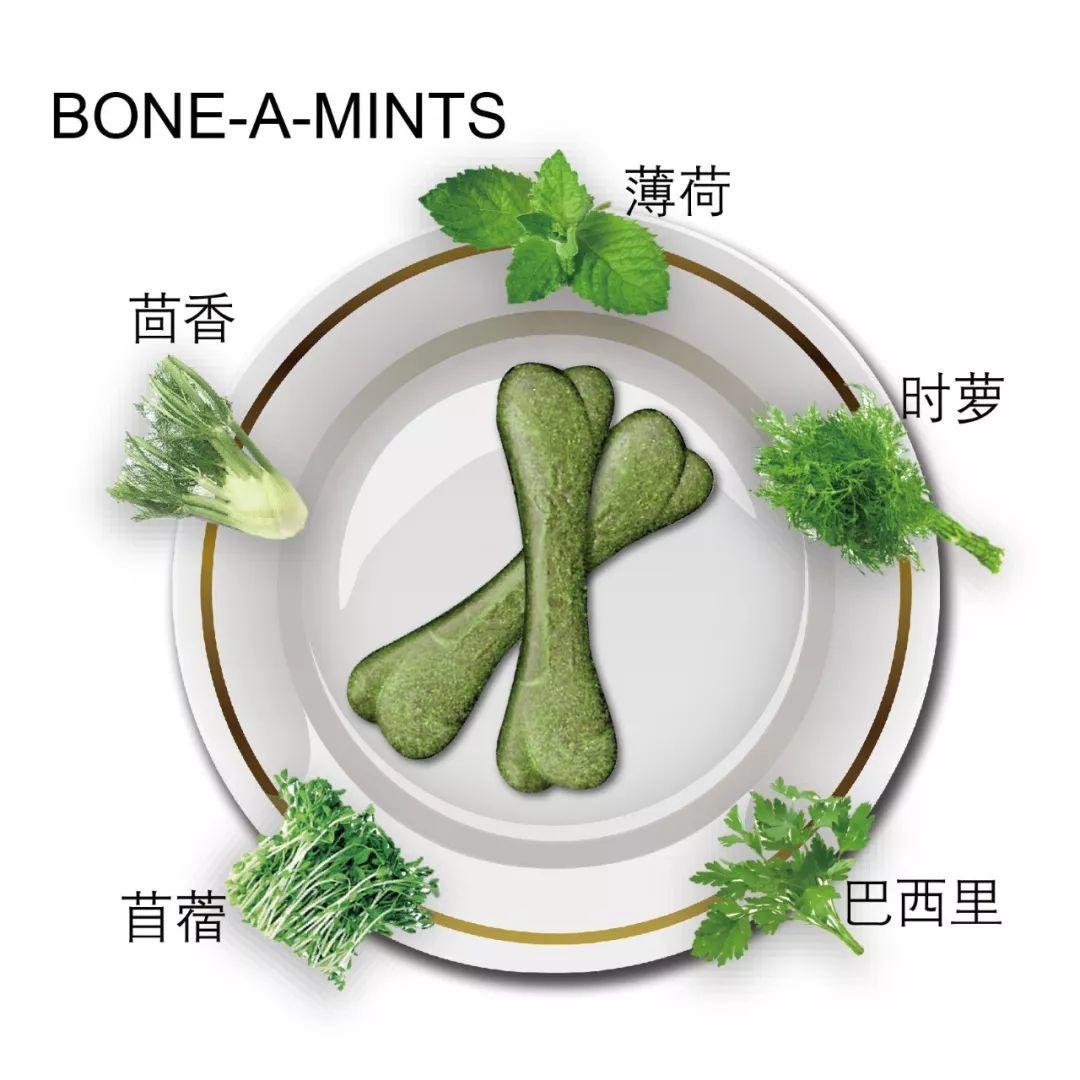 N-BONE 邀您雄鹰.京宠展见