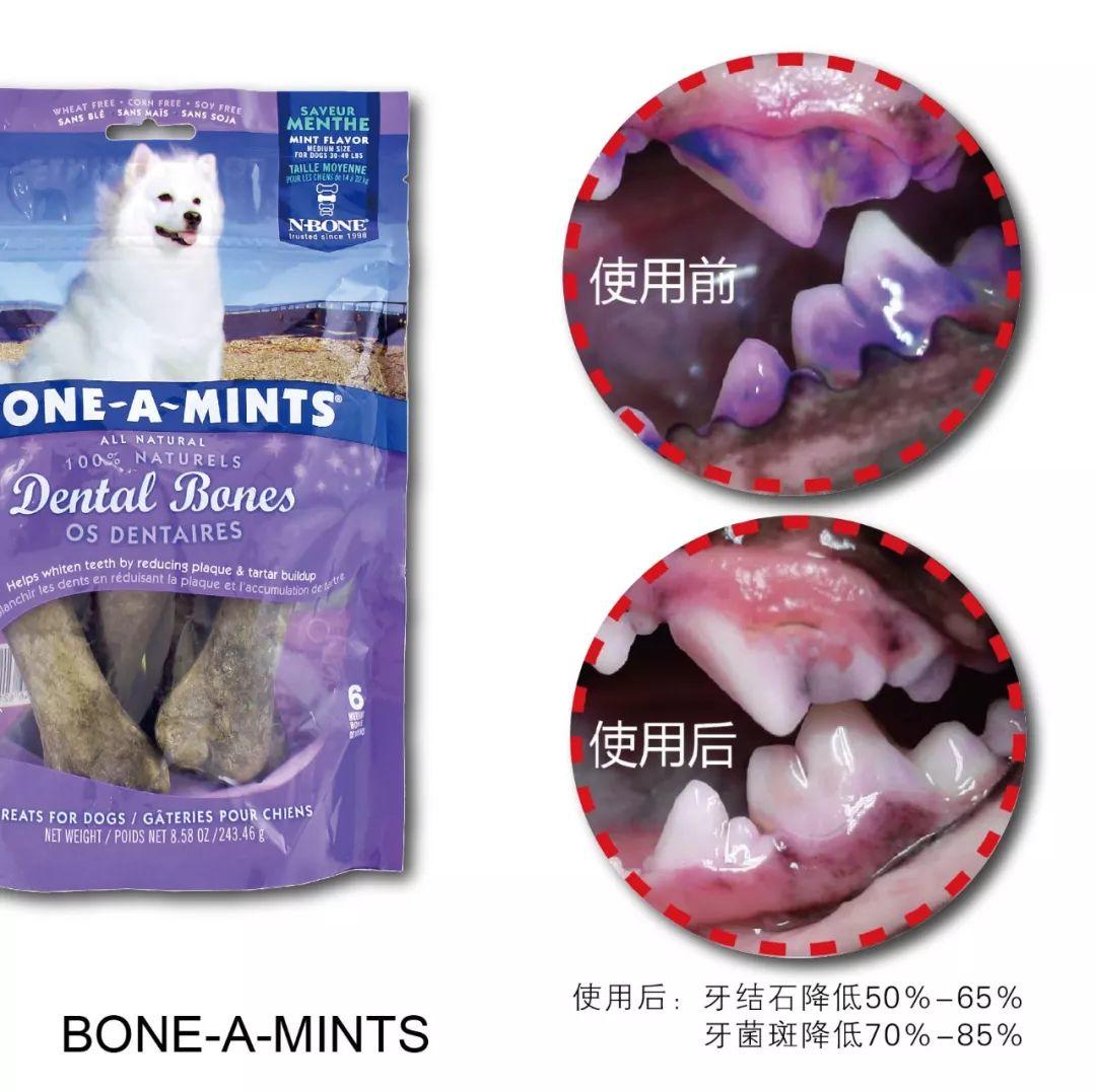 N-BONE 邀您雄鹰.京宠展见