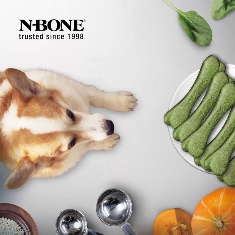 N-BONE 邀您雄鹰.京宠展见