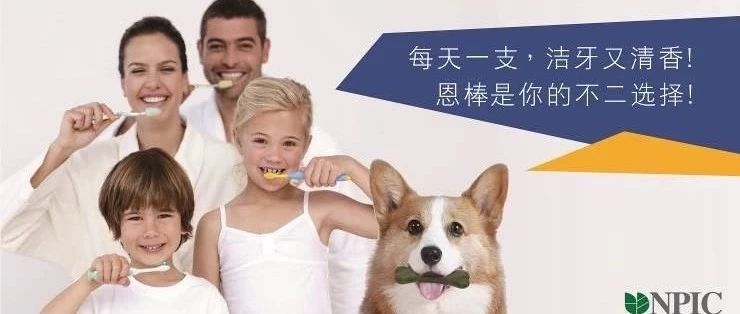 2019亚宠展导览指南、內有免费办证信息!